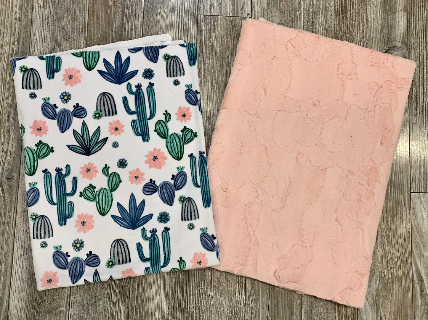 Cactus Blossoms