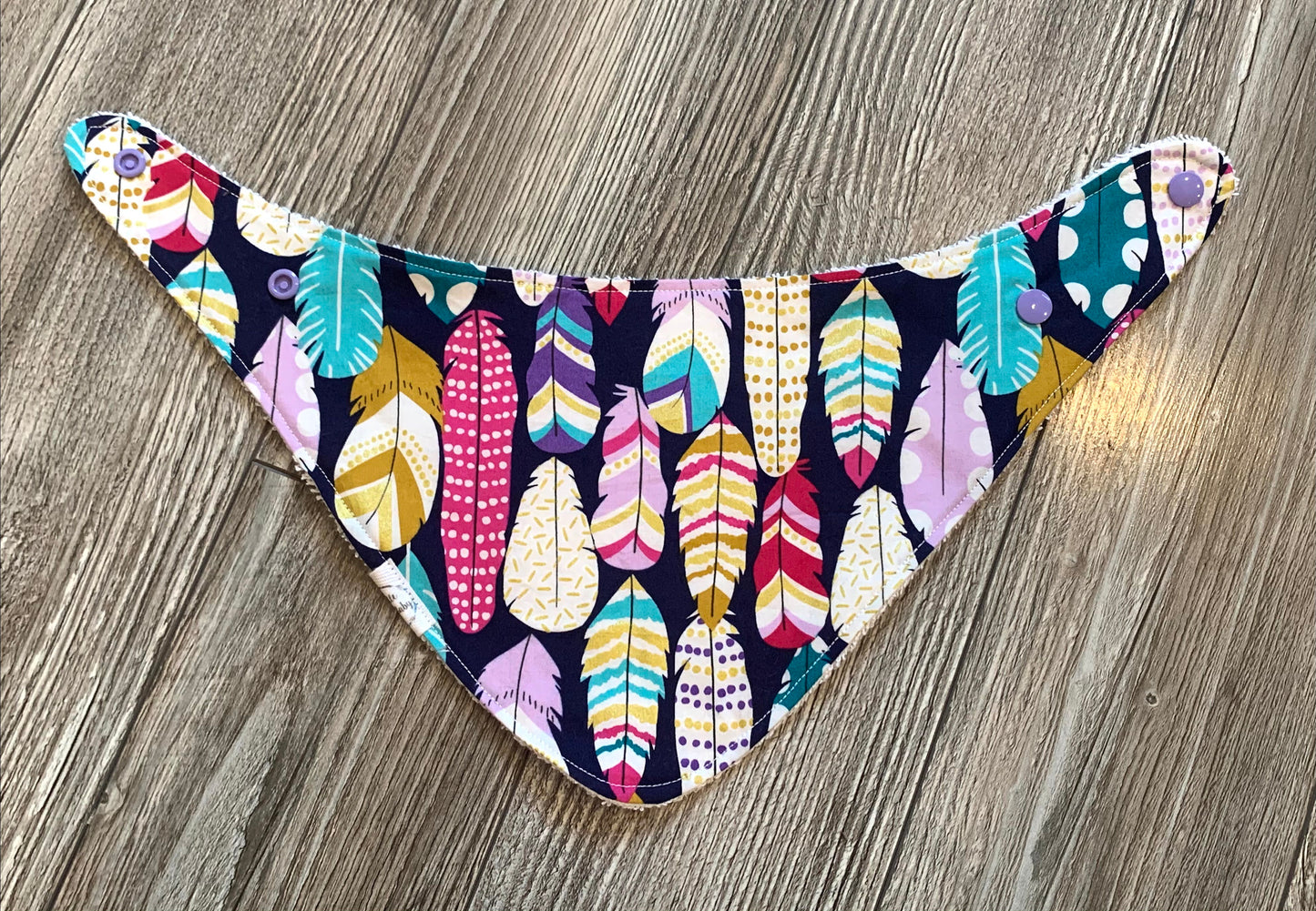 Painted Feathers