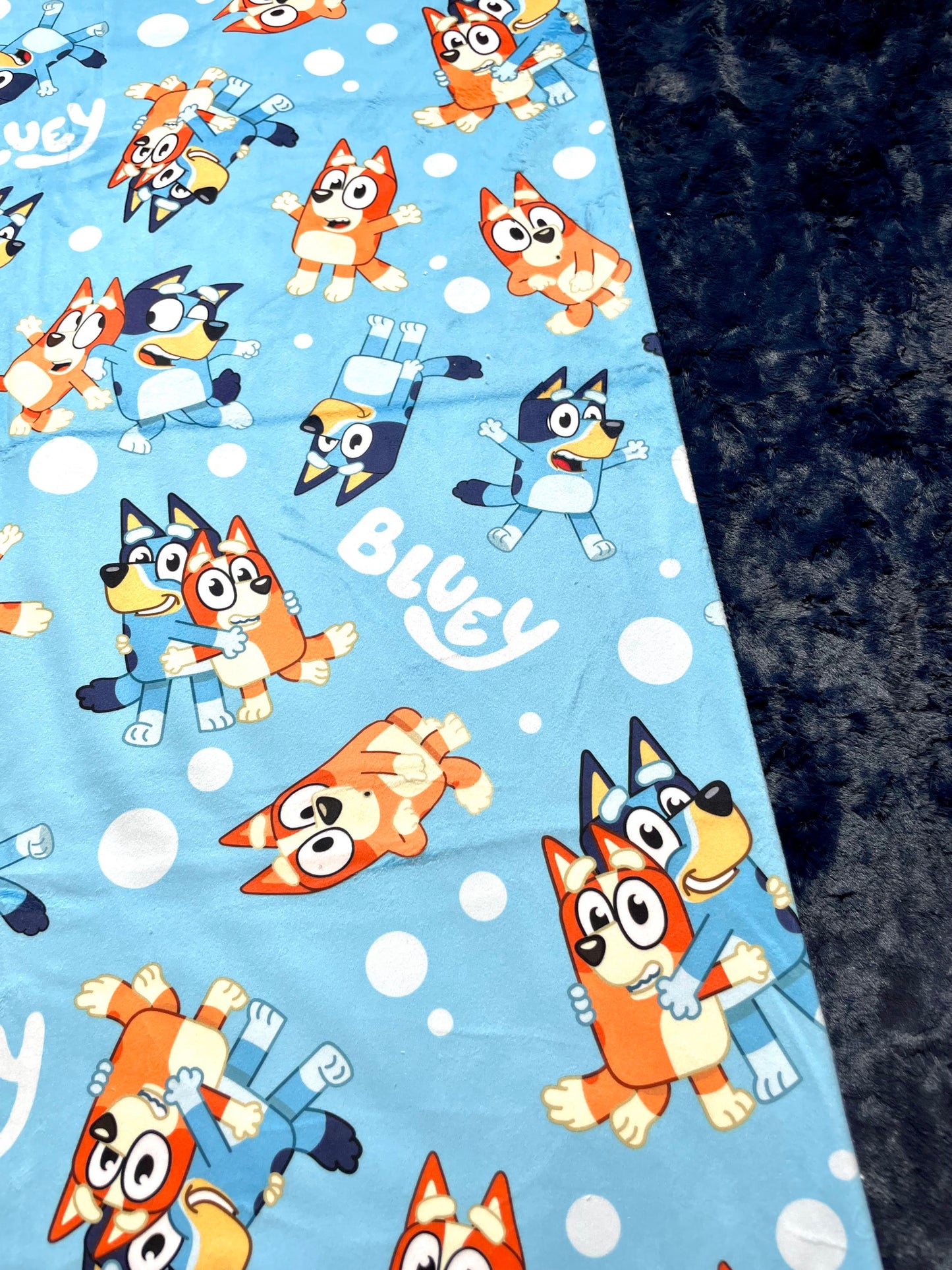 Bluey and Bingo