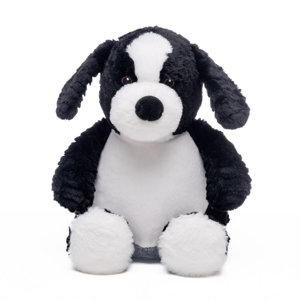Border Collie Dog