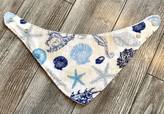 Blue Sea Shells