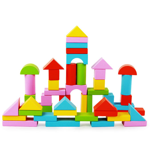 50 Piece Colorful Block Set