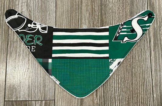 Saskatchewan Roughriders (Print 4)