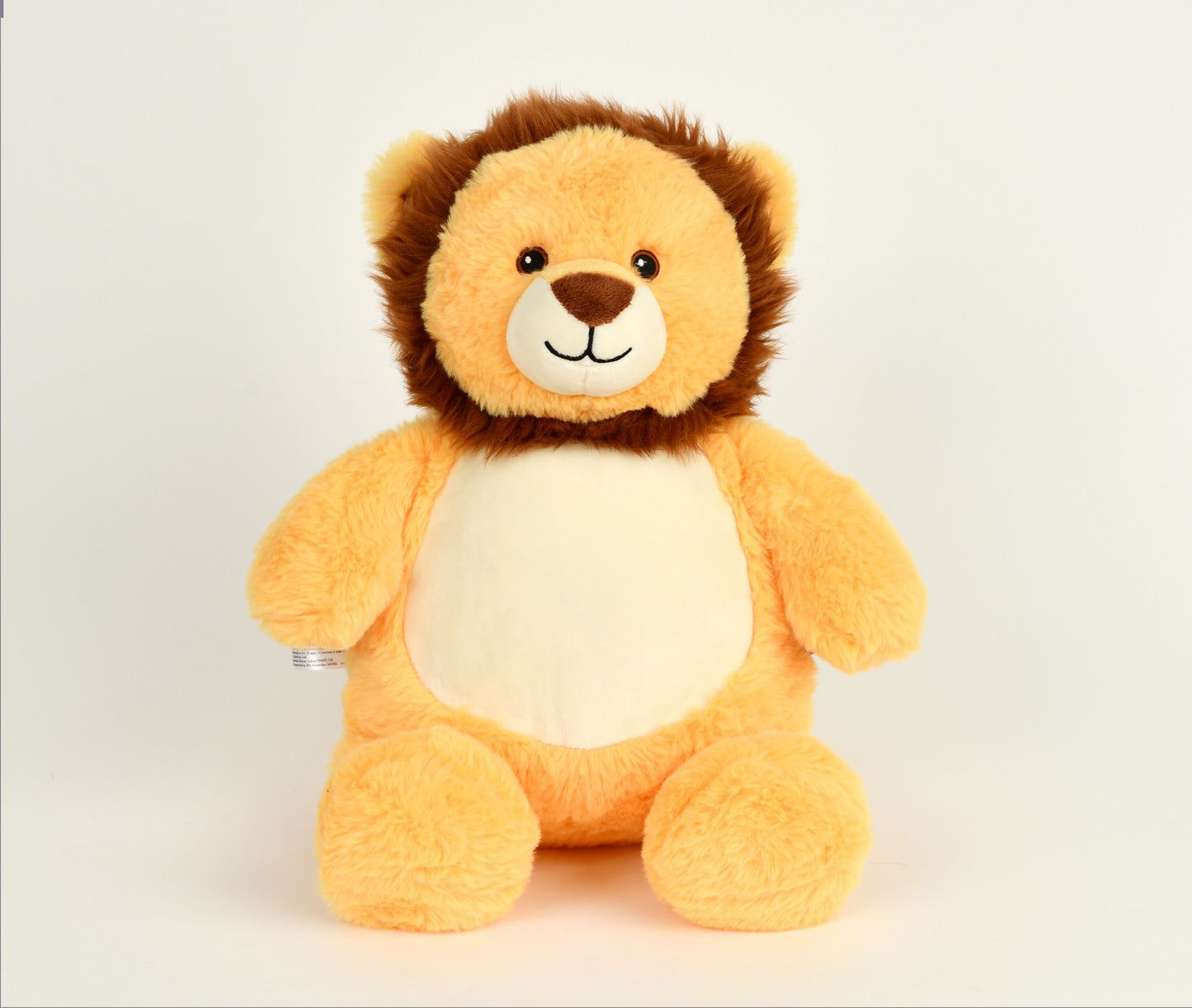 Baby Lion